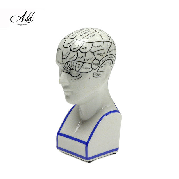 THE PHRENOLOGY-S – GLOBAL FORME CONCRETE