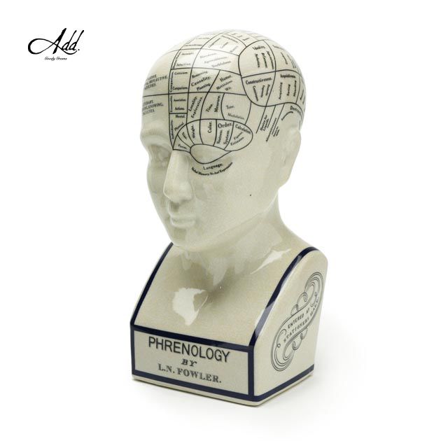 THE PHRENOLOGY オブジェ　サイズ L THE PHRENOLOGY-L – GLOBAL FORME CONCRETE